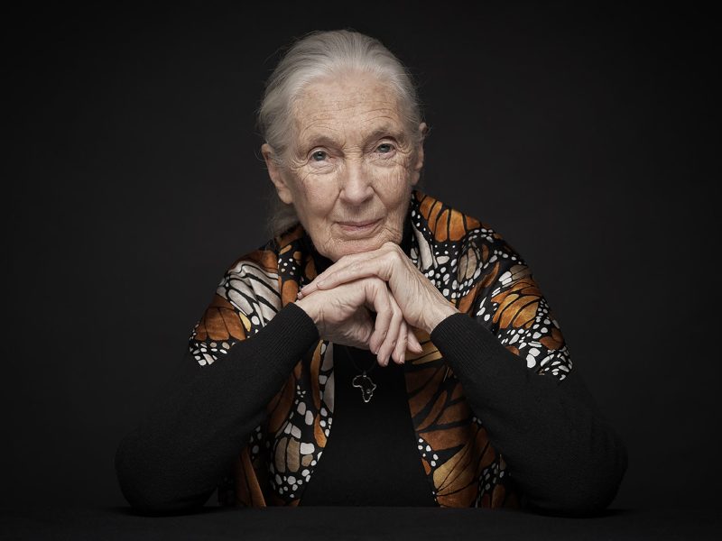 Jane Goodall home page