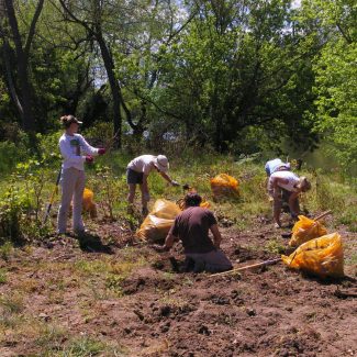 planting trees